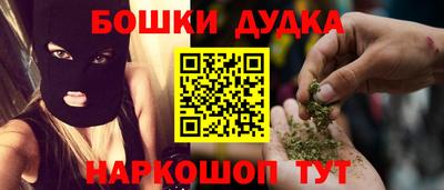 тгк Бийск