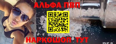 тгк Бийск