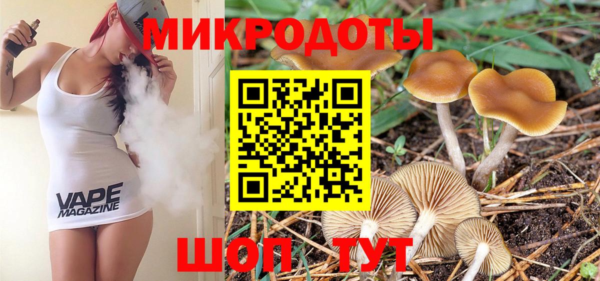 Псилоцибиновые грибы ЛСД Гусиноозёрск