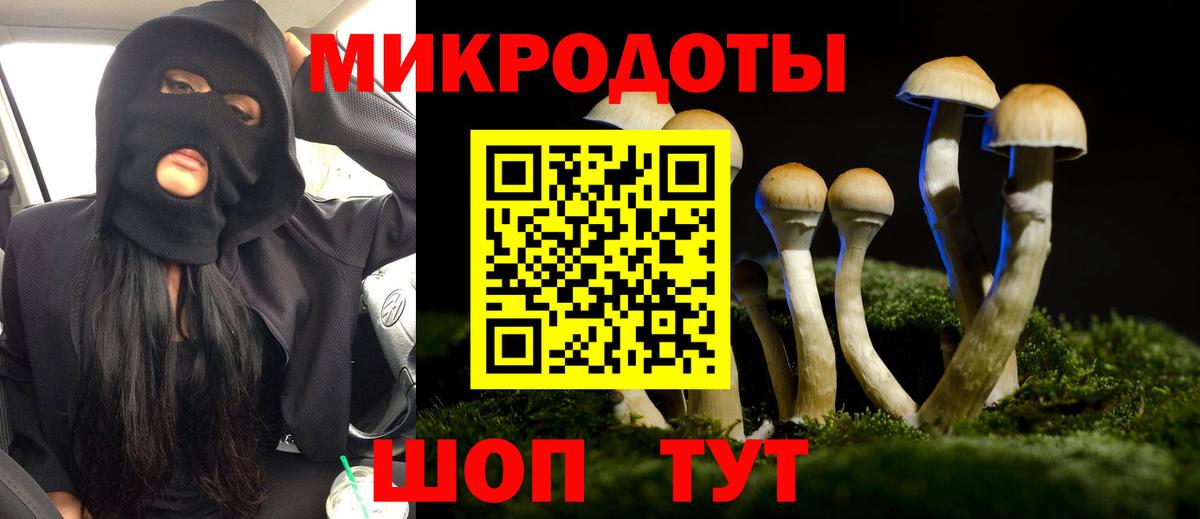 Псилоцибиновые грибы Psilocybine cubensis Гусиноозёрск