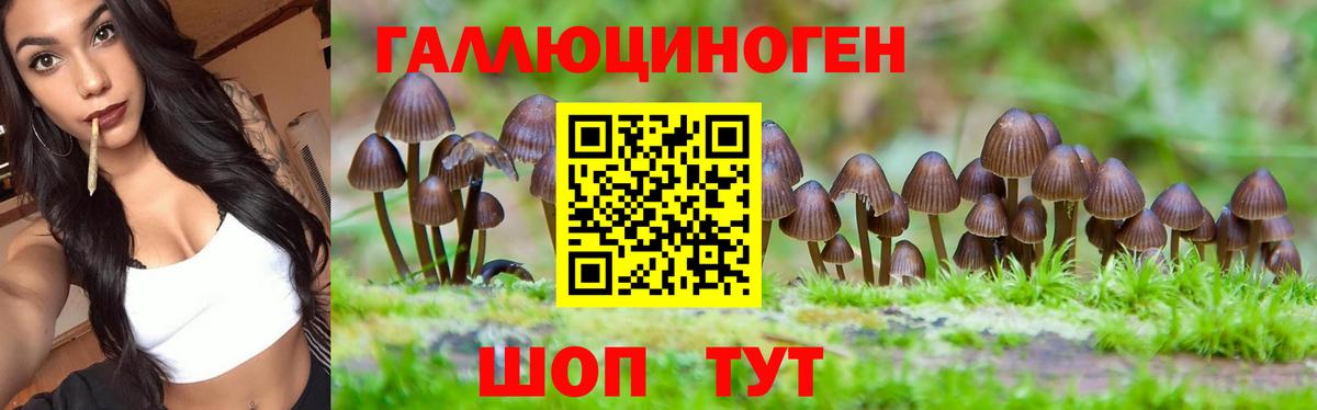 Гусиноозёрск  Галлюциногенные грибы прущие грибы  Вход с VPN  Псилоцибиновые грибы ЛСД 